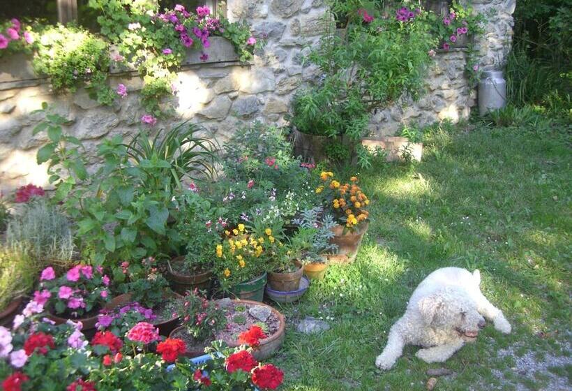 فندق ريفى Casa Rural Goikola