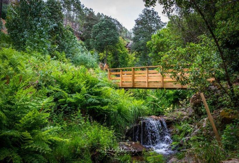 פנסיון Casa Do Silverio   Barroca