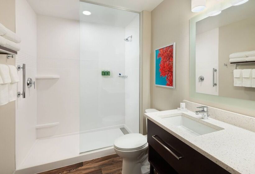 酒店 Towneplace Suites Atlanta Lawrenceville