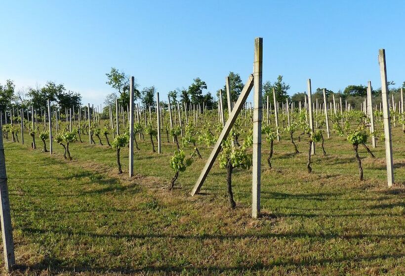 田舎風ホテル Arriga Alta