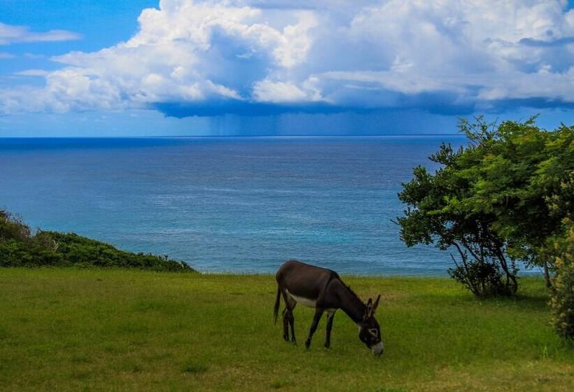 בית מלון כפרי Sky Island Resort
