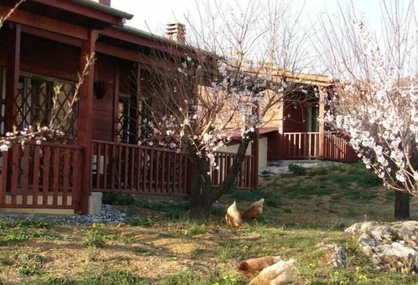פנסיון Villa Rustica
