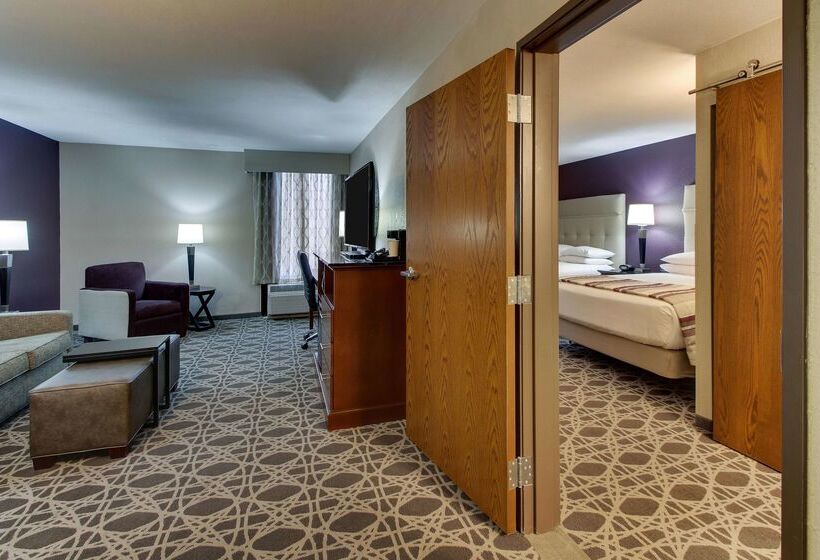 ホテル Drury Inn & Suites Poplar Bluff