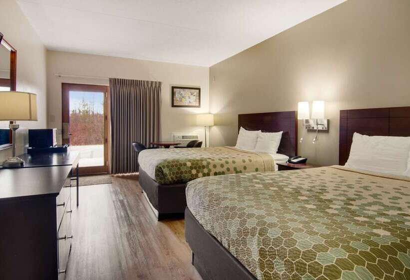 בית מלון כפרי Econo Lodge Cadillac