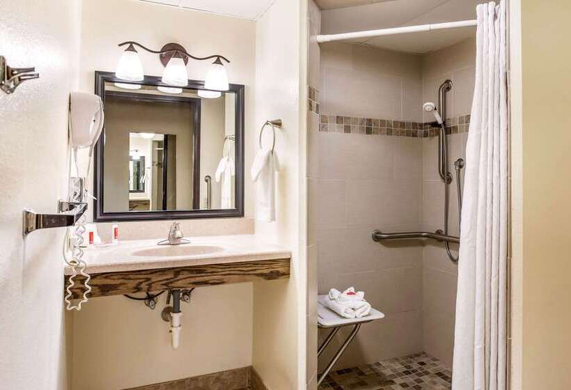 هتل Econo Lodge Mayo Clinic Area