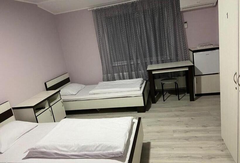 بنسيون Guest House Max