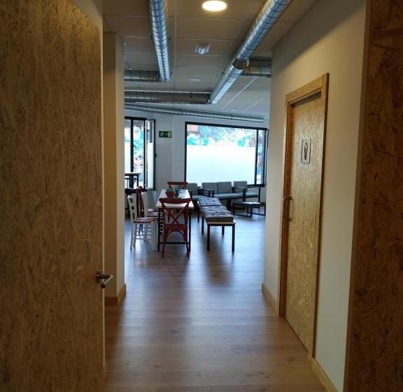 Albergue Nacama Hostel Pontevedra Exclusivo Peregrinos Pilgrims