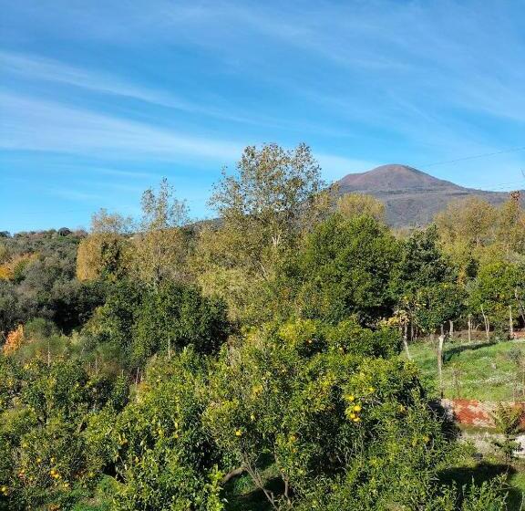 リゾートホテル Vesuvio Inn Bed & Wine Experience