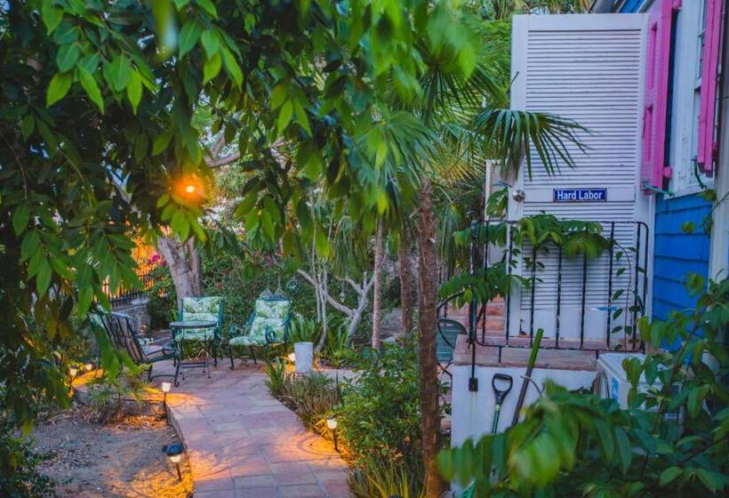 هتل Sugar Apple Bed And Breakfast