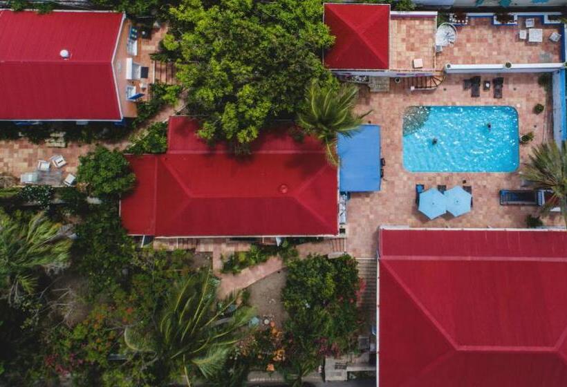 هتل Sugar Apple Bed And Breakfast