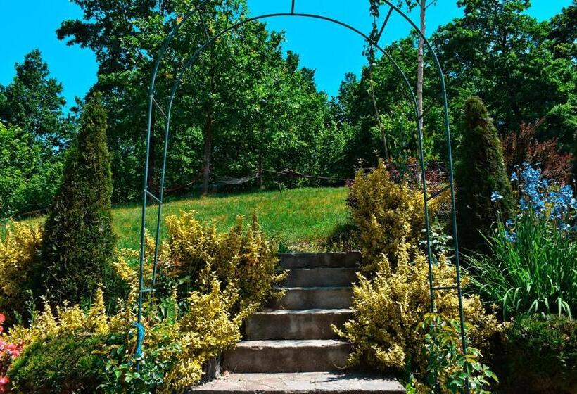 بنسيون Casa Papițu
