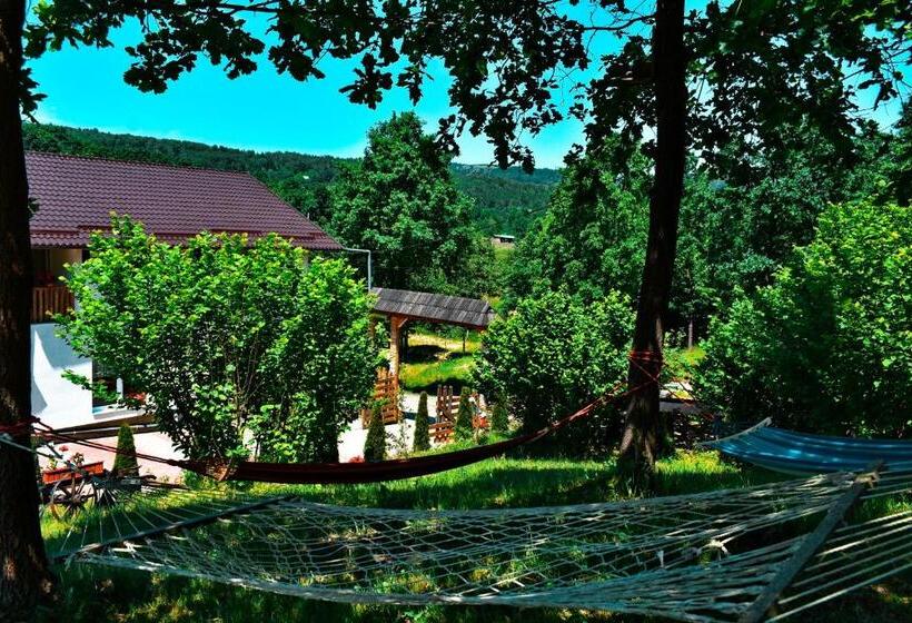 بنسيون Casa Papițu