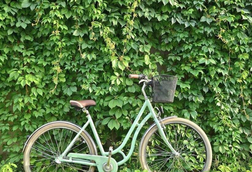 تختخواب و صبحانه Elliott House Inn