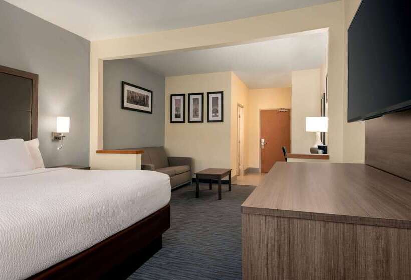 هتل Wingate By Wyndham Appleton