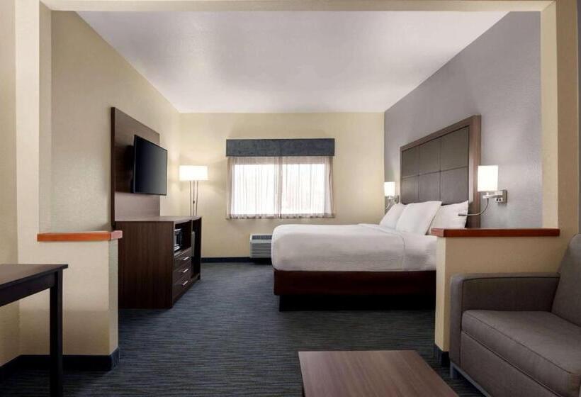 هتل Wingate By Wyndham Appleton