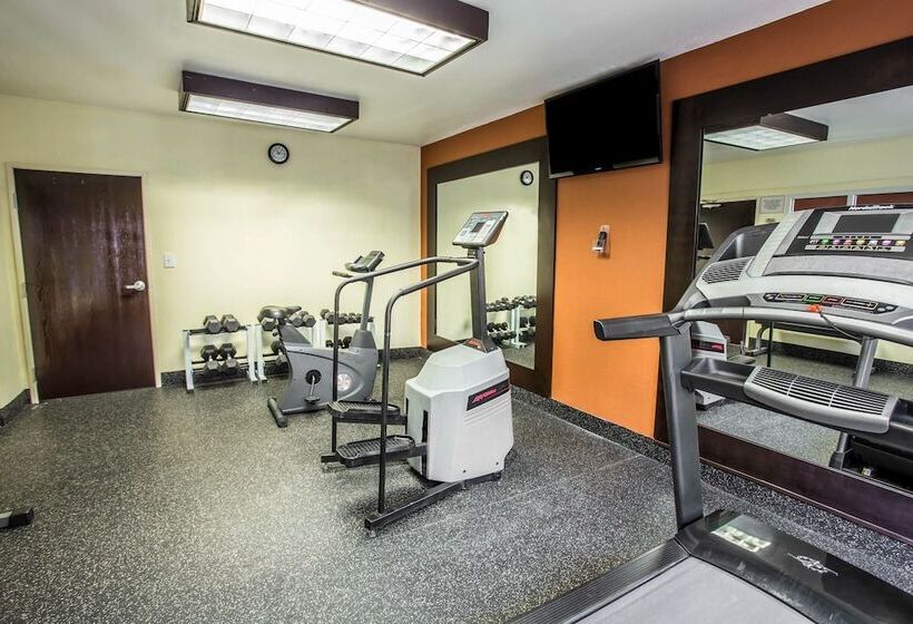 ホテル Comfort Inn & Suites Kannapolis   Concord