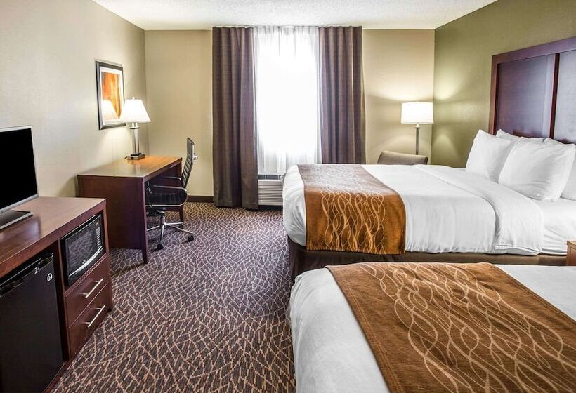 ホテル Comfort Inn & Suites Kannapolis   Concord