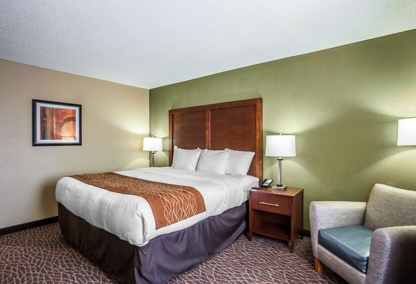 ホテル Comfort Inn & Suites Kannapolis   Concord