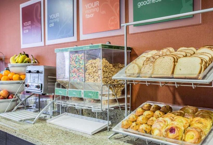 ホテル Comfort Inn & Suites Kannapolis   Concord