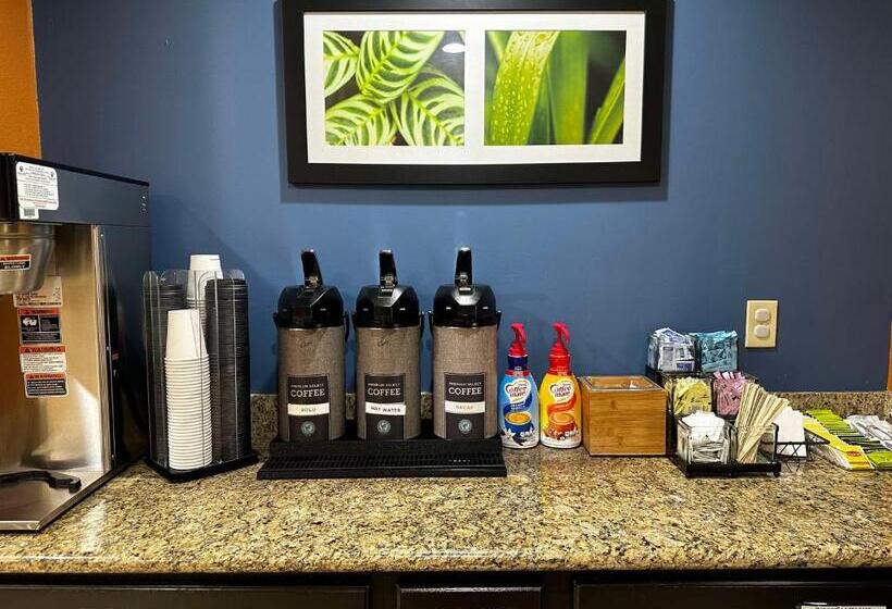 酒店 Best Western Plus Fenton