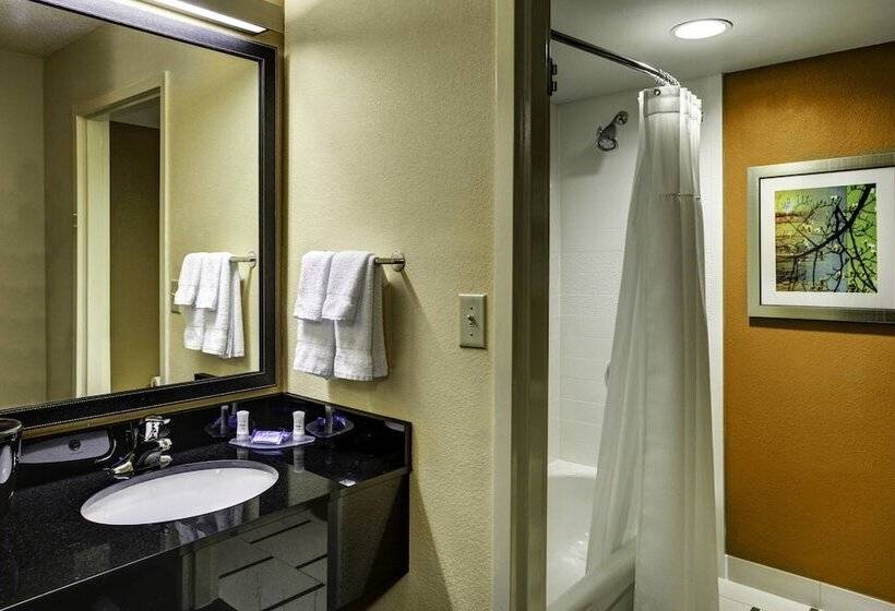 호텔 Fairfield Inn And Suites By Marriott Atlanta Suwanee
