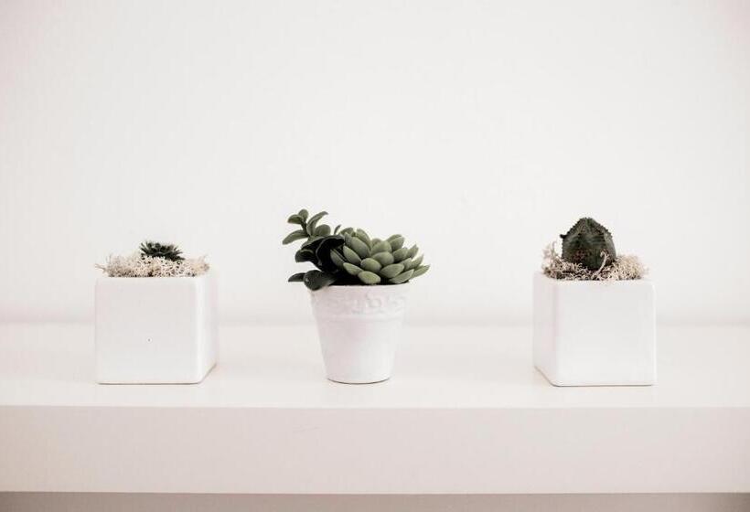 Pensjonat Balabuska Rooms & Garden