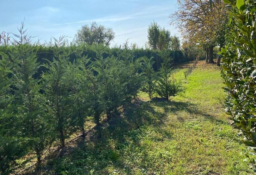 Pensjonat Balabuska Rooms & Garden