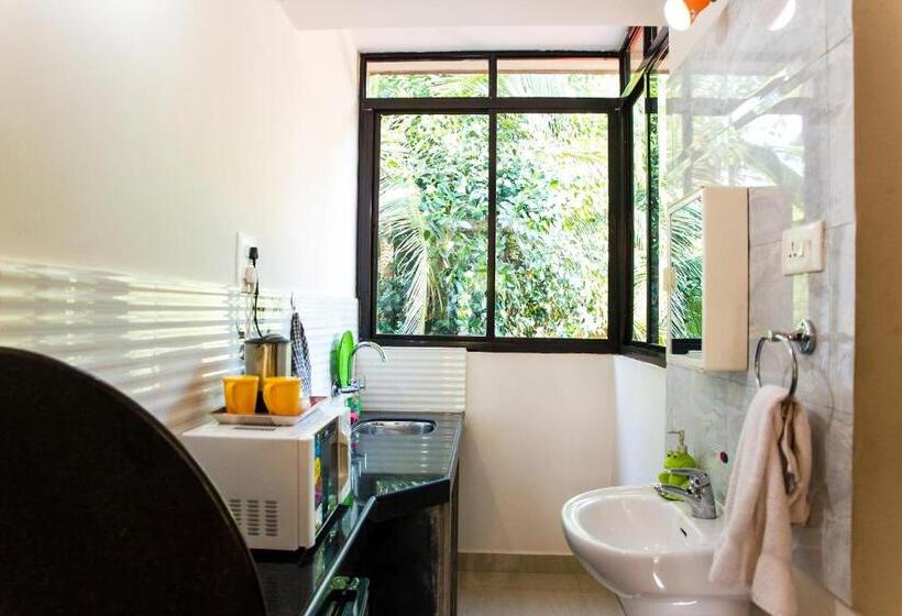 Pensió Lazy Frog Guest House