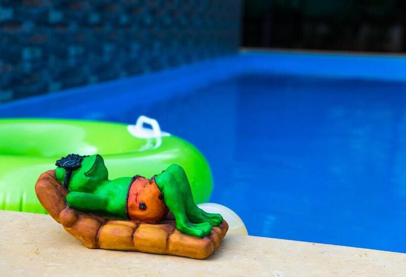 Pensió Lazy Frog Guest House