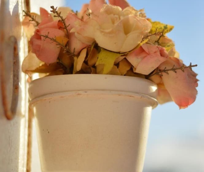 Hostel Pousada Queirah Jeri