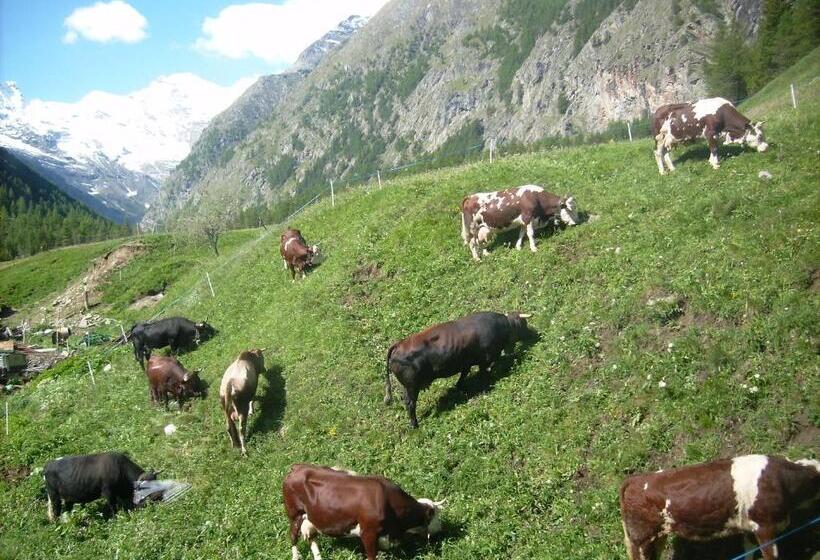 فندق ريفى La Ferme Du Grand Paradis