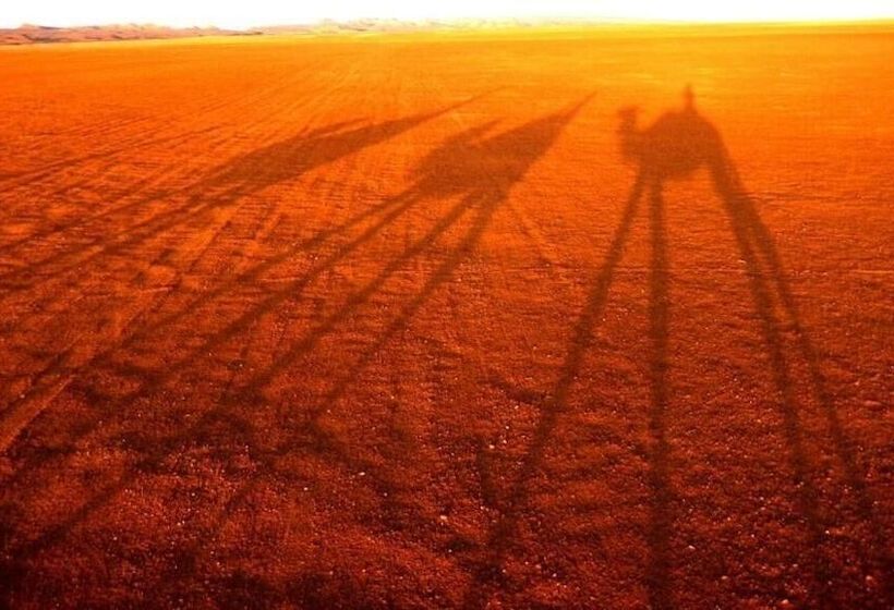 پانسیون Dar Sidi Bounou