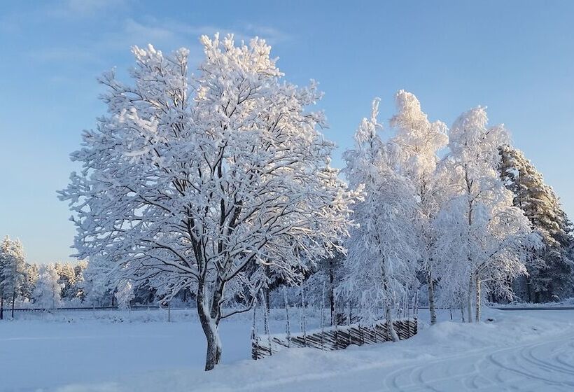 酒店 Sæteråsen Hytter & Camping