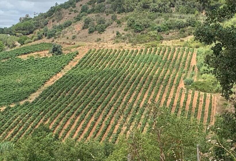 ペンション Quinta Ribeira Do Labrador   Lisbon West Wine Route