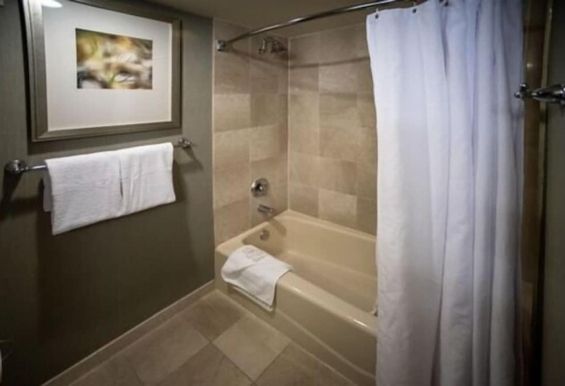 Gold Strike Casino Resort