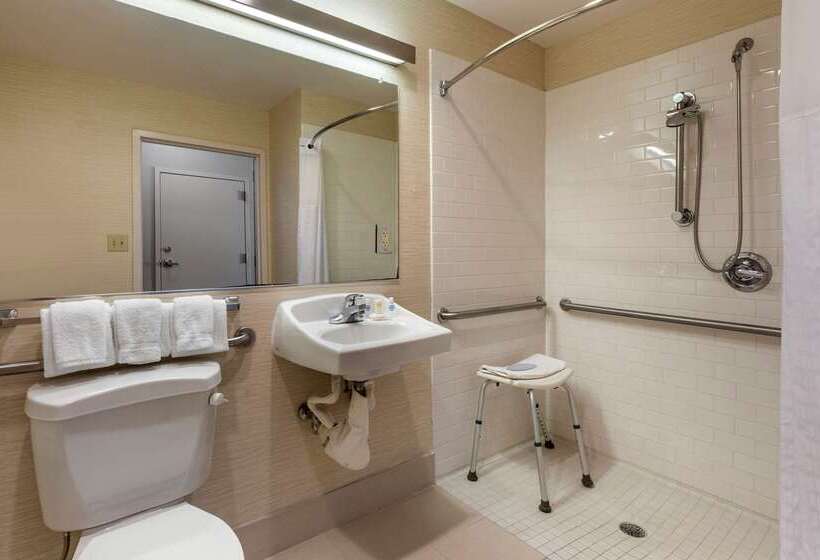 ホテル Comfort Inn & Suites North Dallasaddison