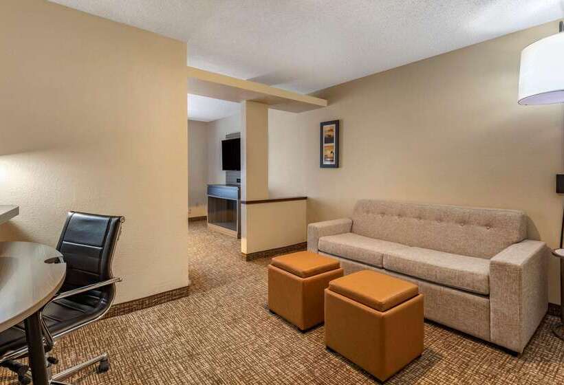 ホテル Comfort Inn & Suites North Dallasaddison