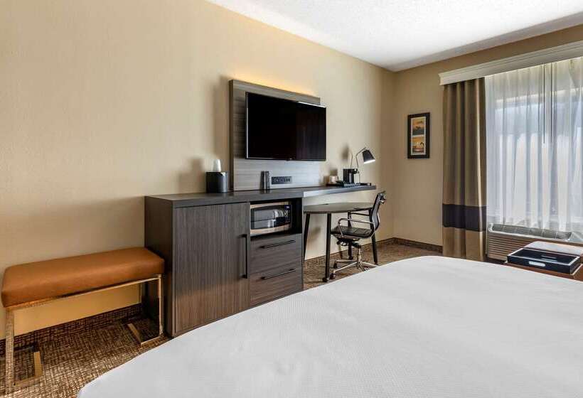 ホテル Comfort Inn & Suites North Dallasaddison