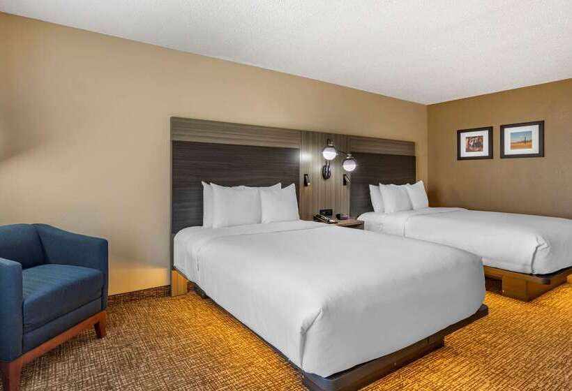 ホテル Comfort Inn & Suites North Dallasaddison