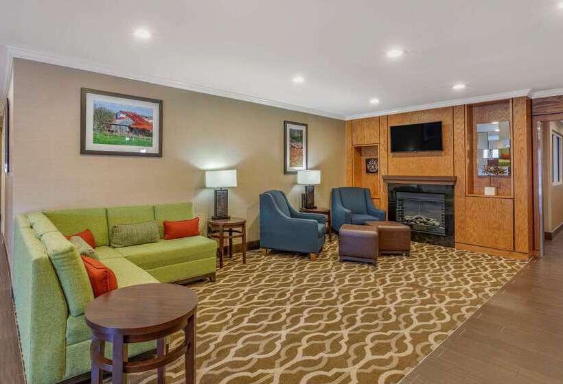 ホテル Comfort Inn & Suites North Dallasaddison