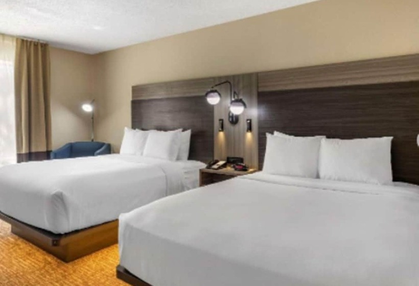 ホテル Comfort Inn & Suites North Dallasaddison