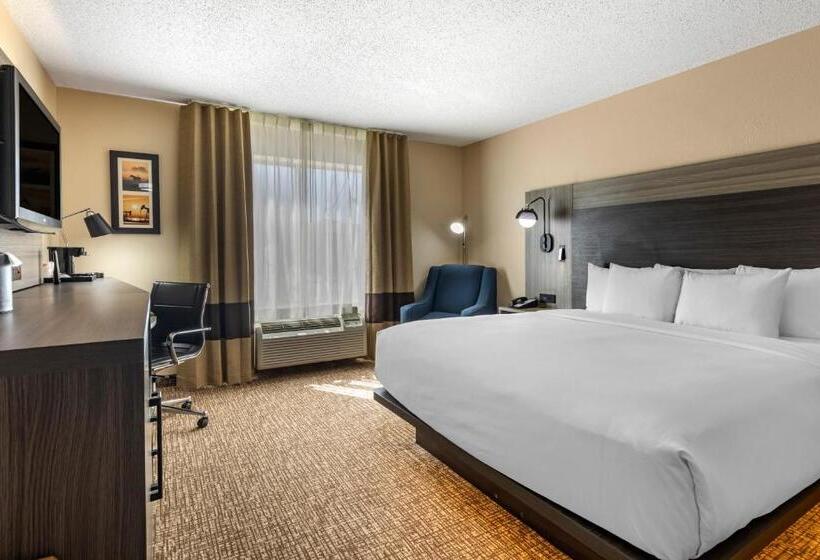 ホテル Comfort Inn & Suites North Dallasaddison