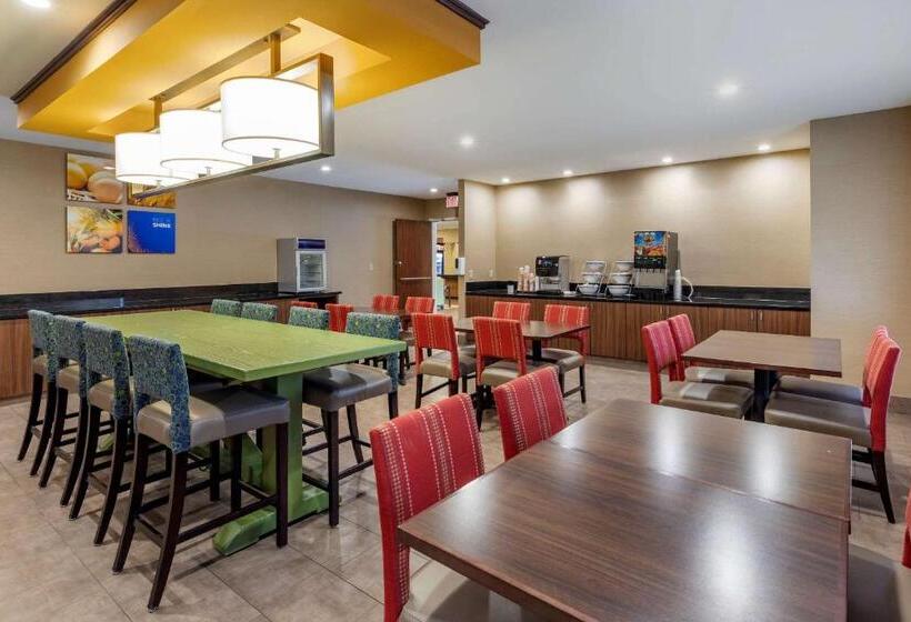 ホテル Comfort Inn & Suites North Dallasaddison