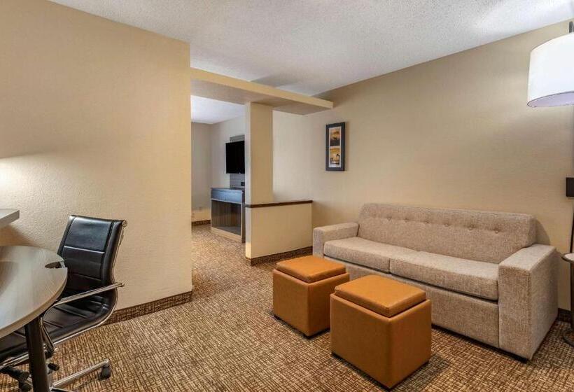 ホテル Comfort Inn & Suites North Dallasaddison