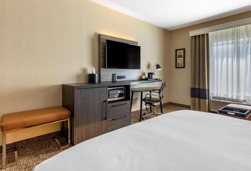ホテル Comfort Inn & Suites North Dallasaddison