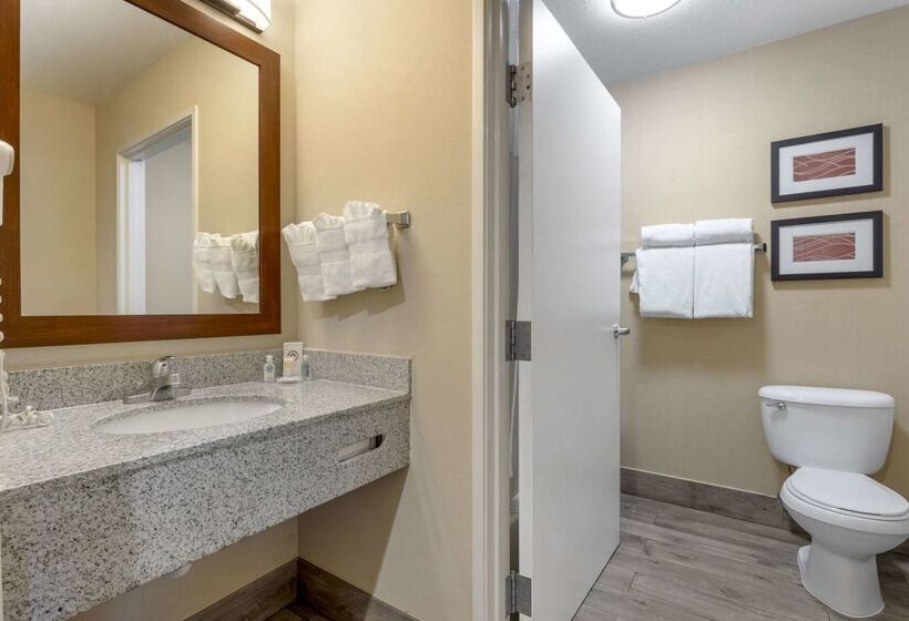 בית מלון כפרי Comfort Inn & Suites Orem  Provo