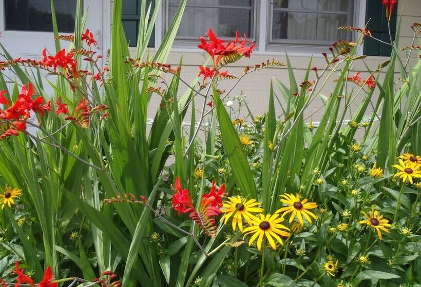 فندق Glass House Inn Erie Near I90 & I79