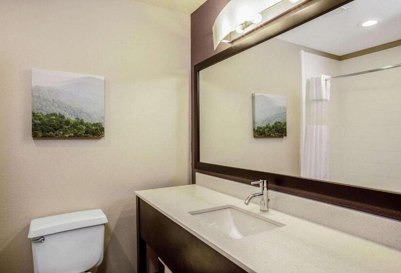 酒店 La Quinta By Wyndham Fayetteville