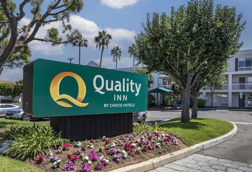 בית מלון כפרי Quality Inn Placentia Anaheim Fullerton