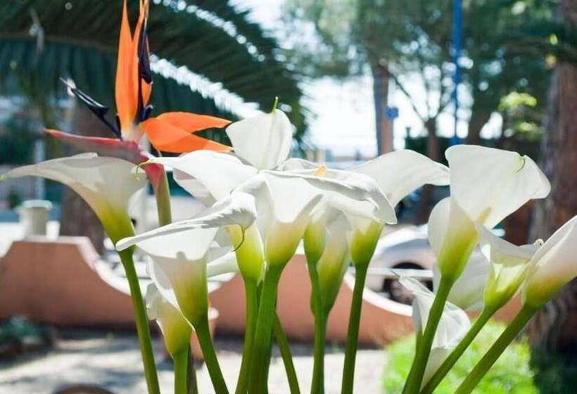 فندق Le Ceinturon